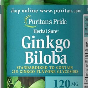 Puritan's Pride Ginkgo Biloba 100s